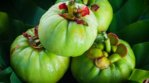 recensioni garcinia cambogia