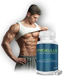 probulus per massa e testosterone probulus per massa e testosterone