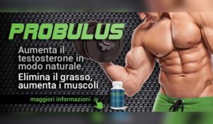 integratore di tribulus terrestris PROBULUS