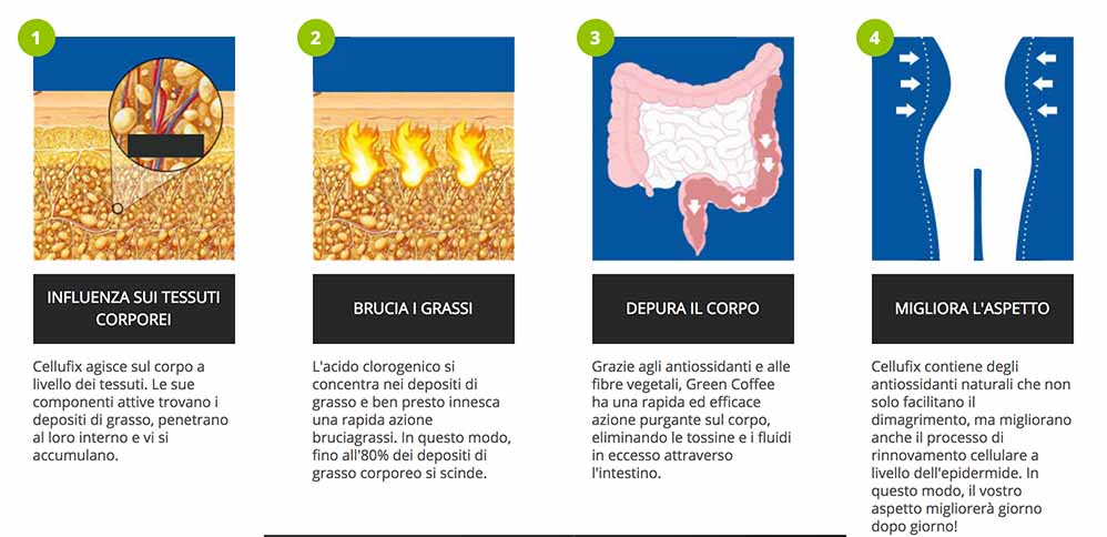 cellufix come funziona cellufix come funziona