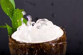 maschera facciale al cocco maschera facciale al cocco