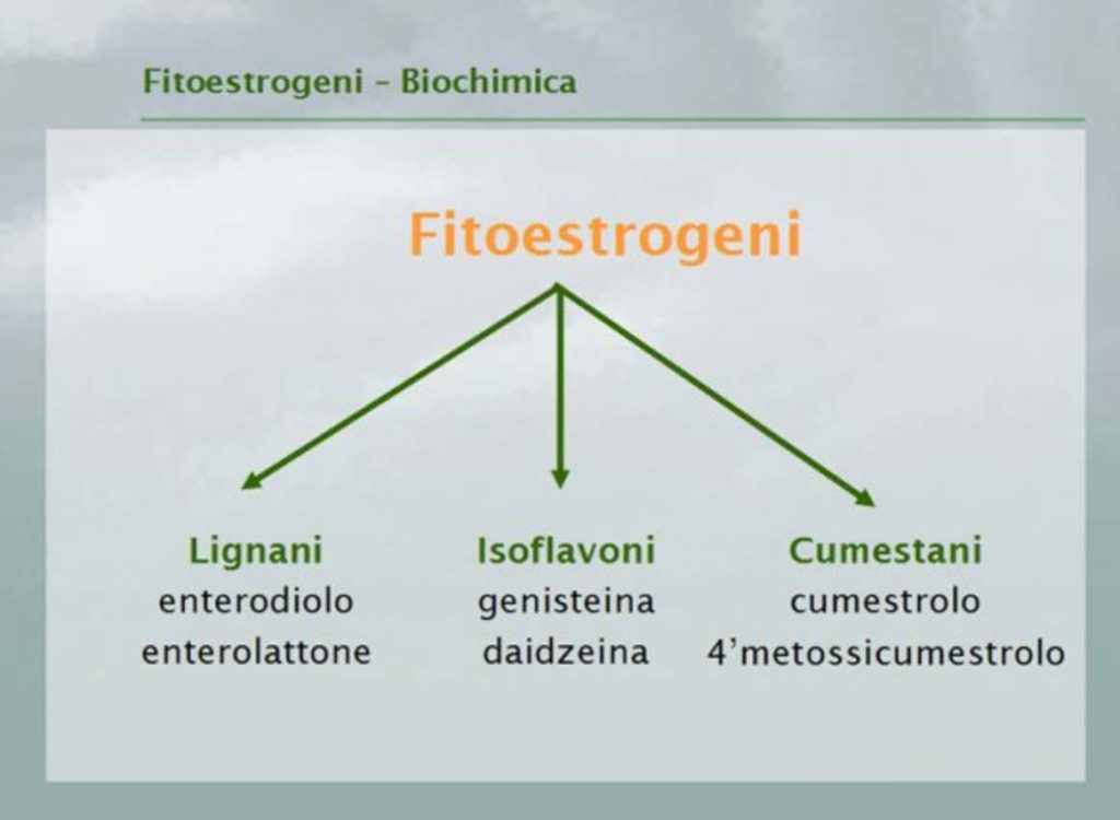 fitoestrogeni