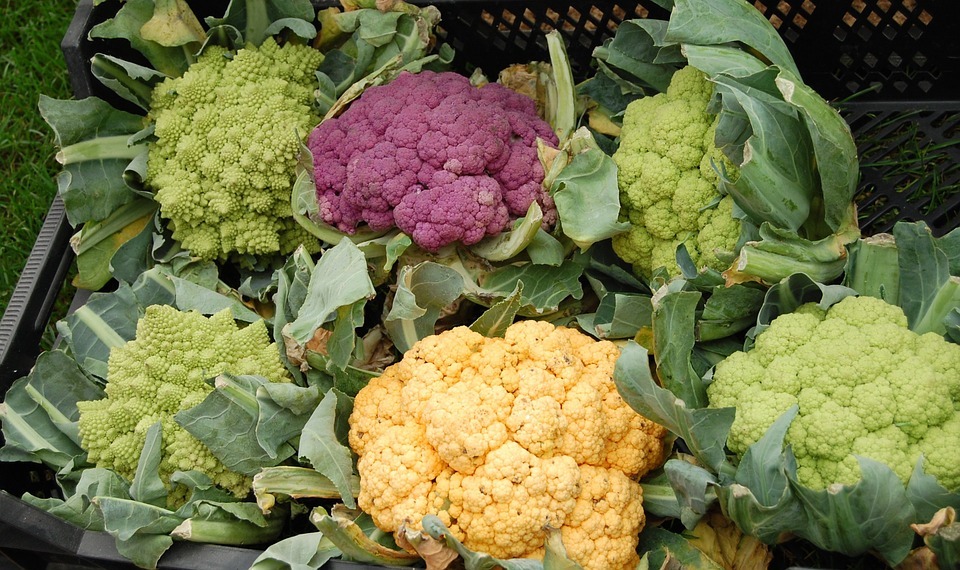 broccolo per aiutare il metabolismo broccolo per aiutare il metabolismo