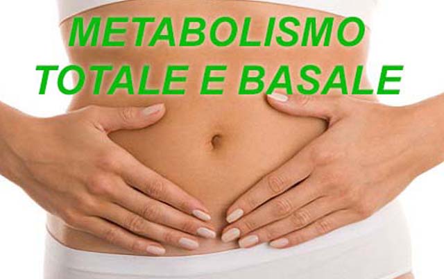 Metabolismo totale e basale