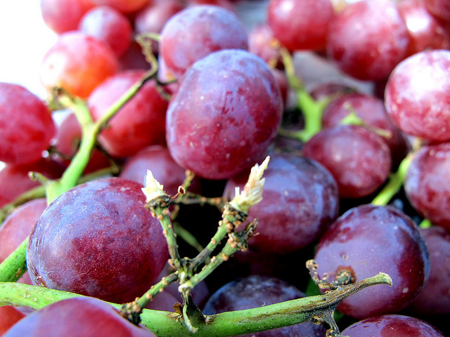 Uva rossa Uva rossa ricca di polifenoli