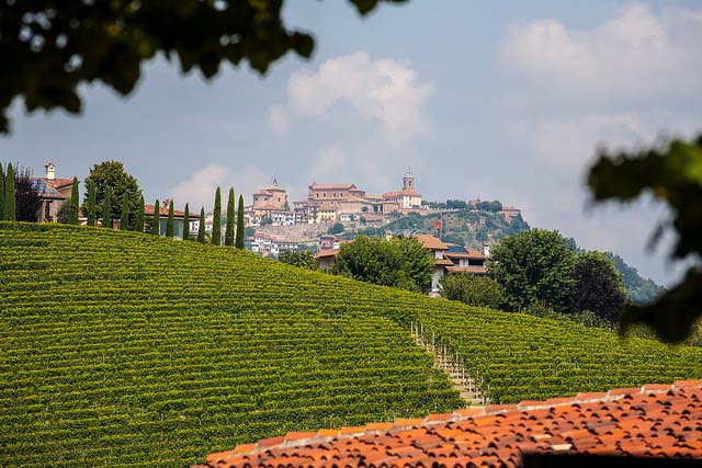 Barolo Piemonte Vigne a Barolo