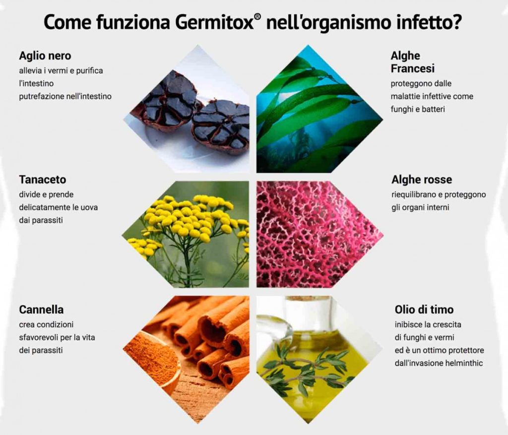 Come funziona Germitox Come funziona Germitox
