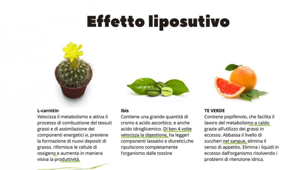 effetto liposolutivo one two slim effetto liposolutivo one two slim