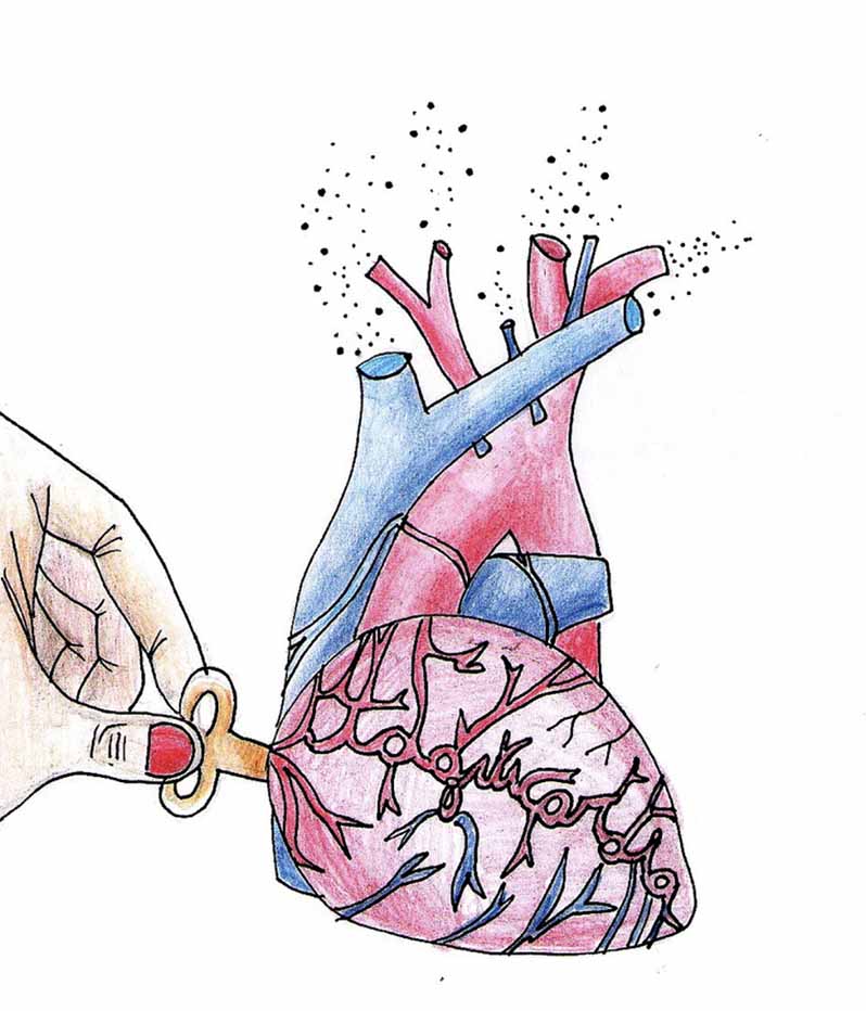 illustrazione cuore tachicardia disegno di cuore tachicardia