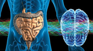 microbiota e cervello