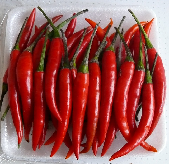 Peperoncino Capsico 