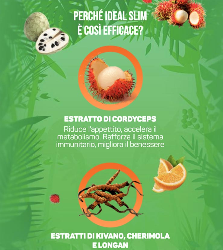 Ingredienti Idealslim