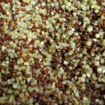 proprietà quinoa