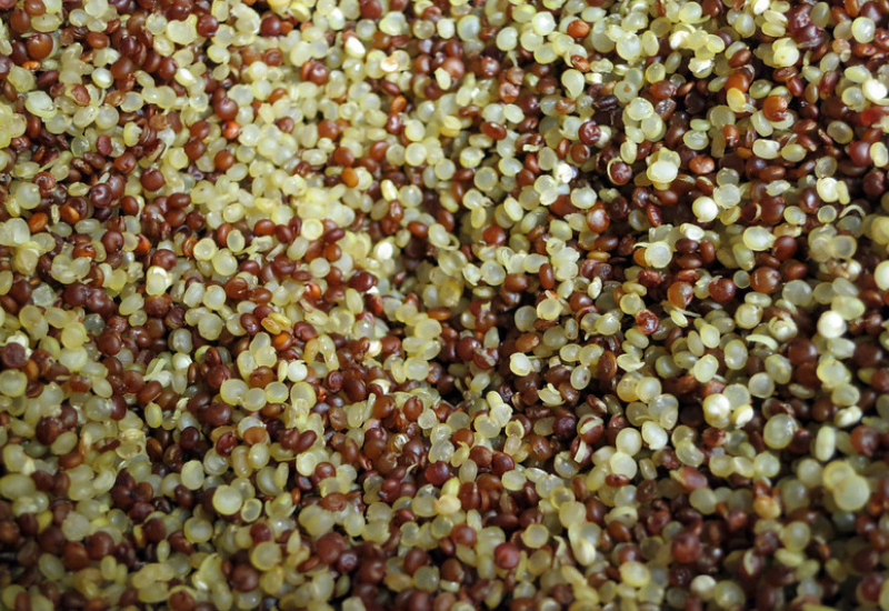 proprietà quinoa